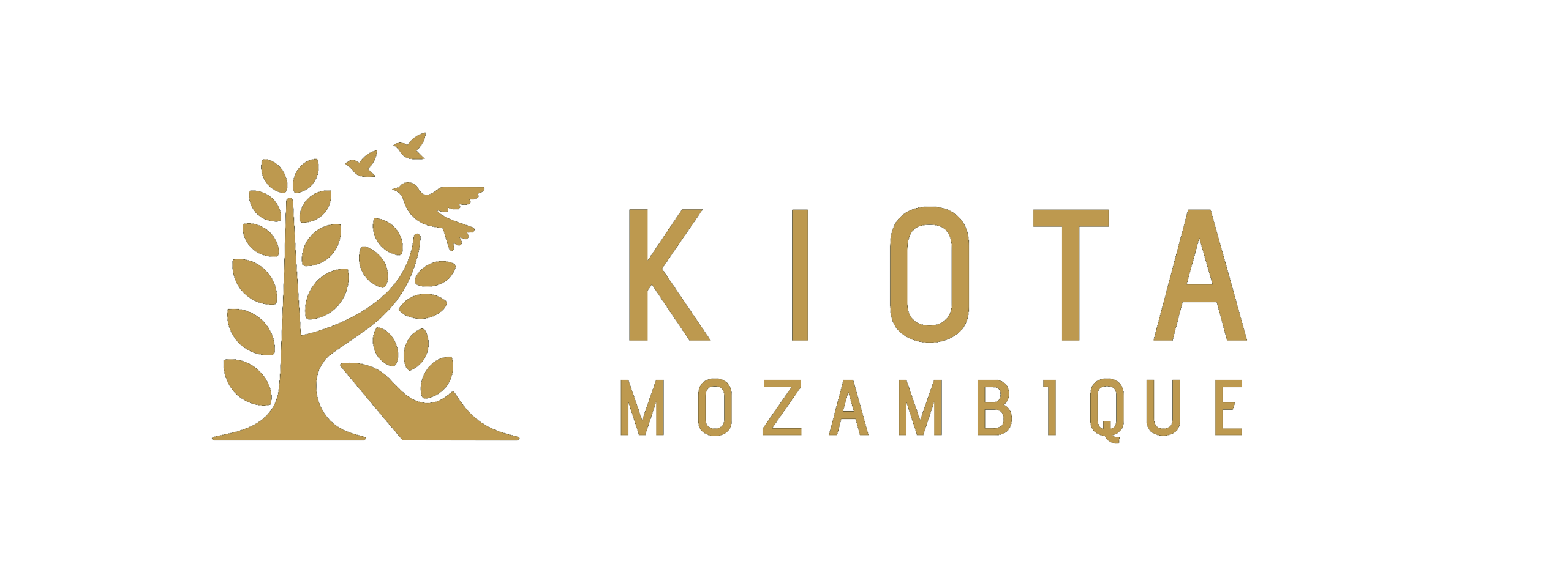 KIOTA Mozambique